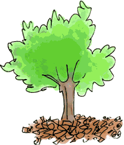 Bark tree