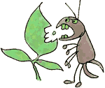 Garden pests illustration