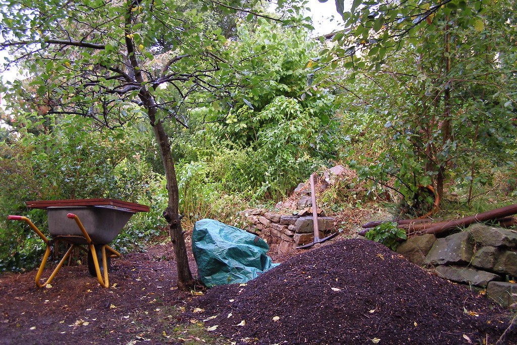 Dark finished compost in a garden beside wheelbarrows