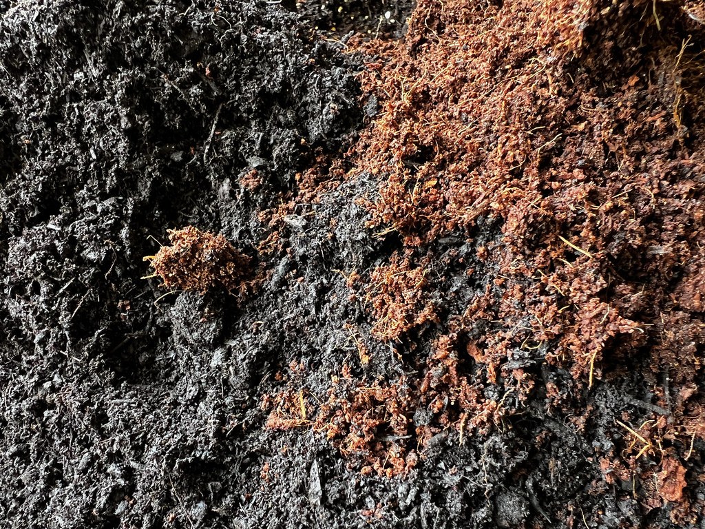 Two contrasting peat-free growing mixes side by side
