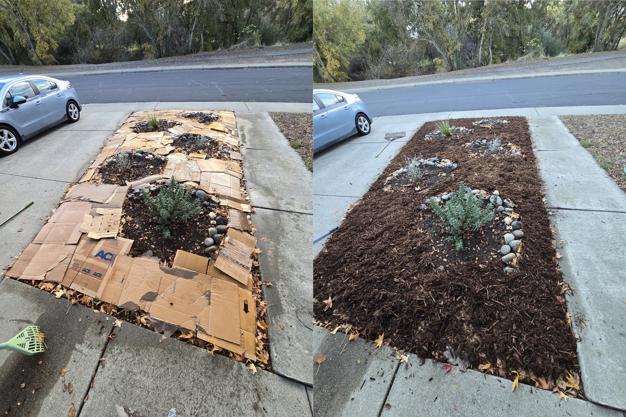 A garden bed covered first with overlapping cardboard and then with organic mulch