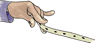 seed tape