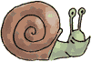 snail